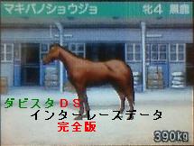 ダビスタｄｓ攻略 競馬生活