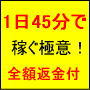 １日４５分！９０日で稼ぐ極意〜稼げなければ「全額返金」