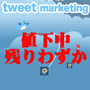 Tweet Marketing 『ツイートマーケティング』