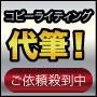 コピーライティング代筆 【制作費用＝時給換算43円】HeartsNライティング（B-2プラン）