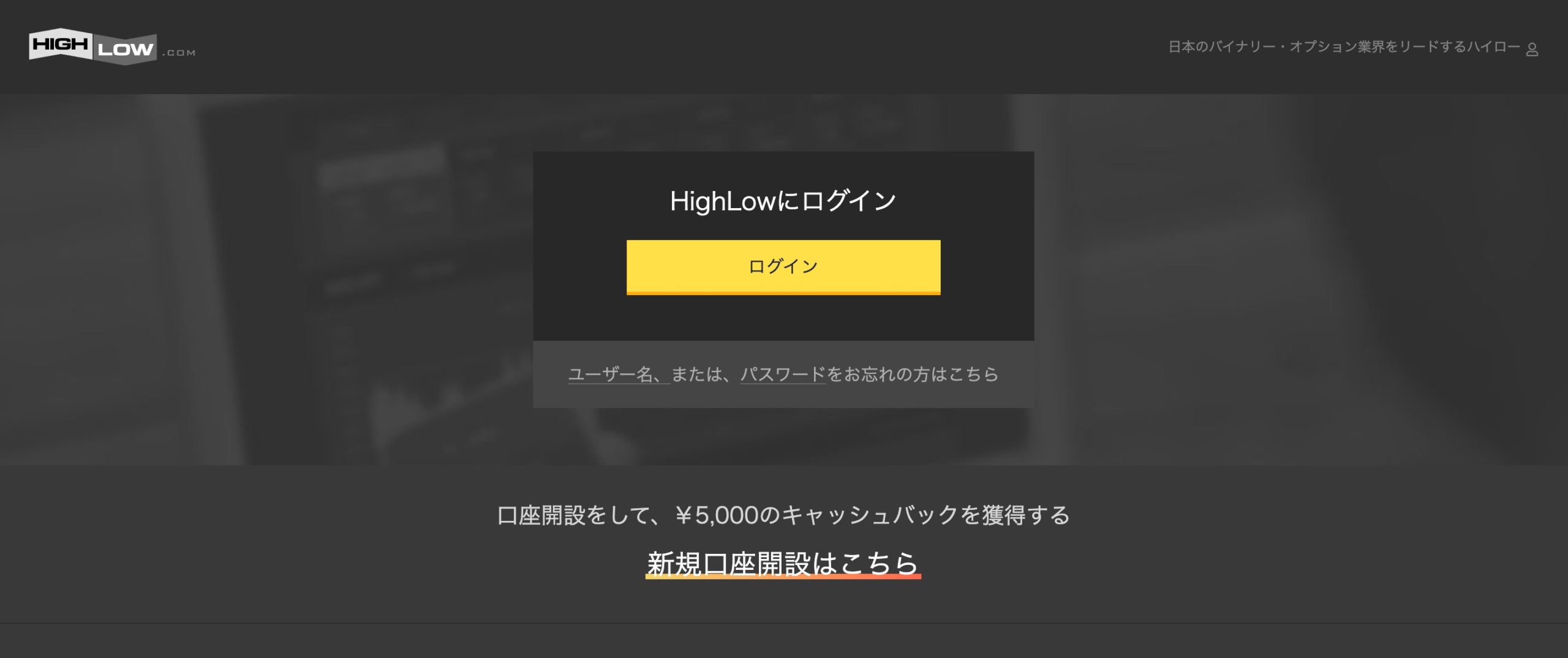 High&Low（ハイローオーストラリア）とは？