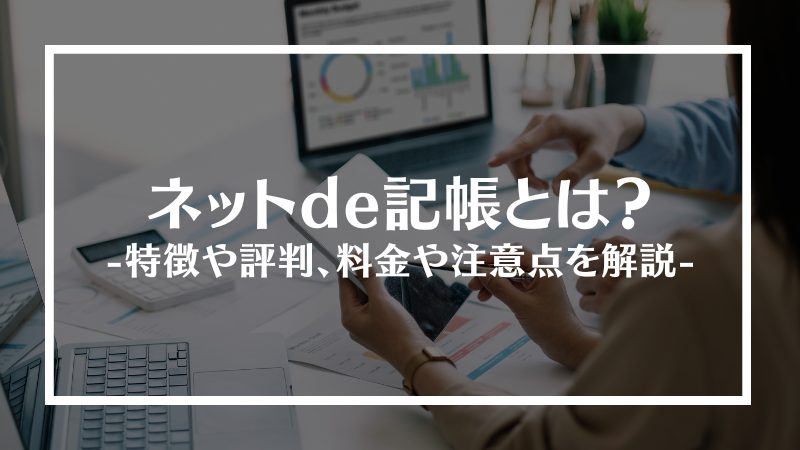 ネットde記帳とは