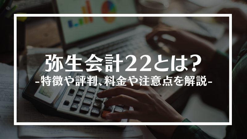 弥生会計22とは